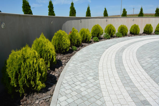 Best Driveway Paving Contractor  in Franklin, VA